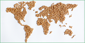 Analisi sul settore agroalimentare globale