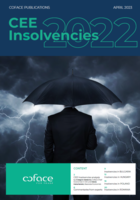 Download-our-full-CEE-insolvencies-study_medium (1)